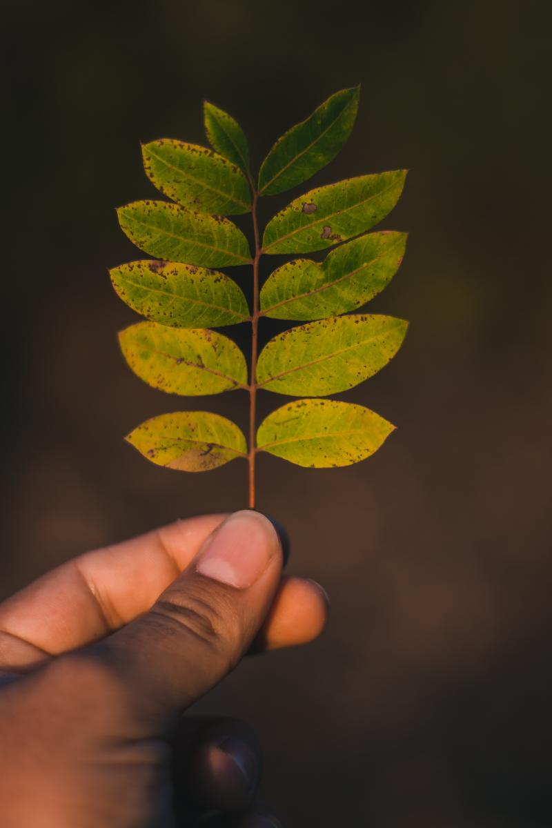 Holding life