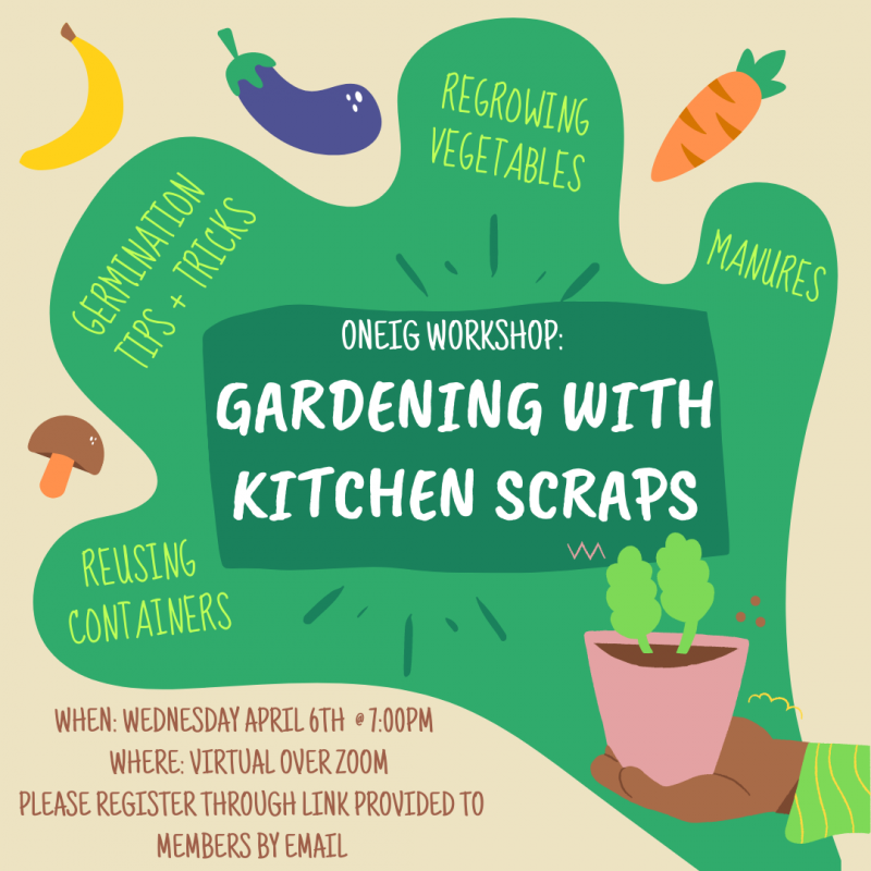 Cartoon Infographic of vegetables and plants. Title: ONEIG workshop: Gardening with Kitchen Scraps. Text surrounding title: Regrowing vegetables, manures, germination tips and tricks, reusing containers. April 6th at 7pm using the link from your member email.
