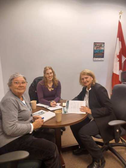 Past RNAO board member: Ellen Shipman, Policy and Advocacy ENO: Jenna Bennett, MPP McCrimmon 