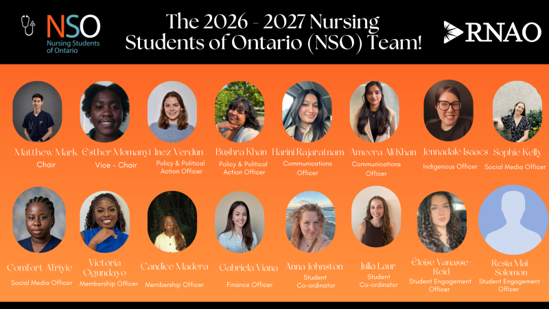 2026-2027 NSO Team