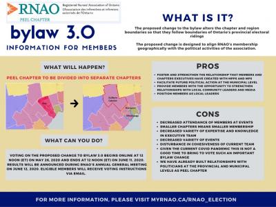 bylaw summary