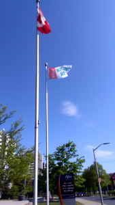 RNAO Nursing Week Flag at Ajax