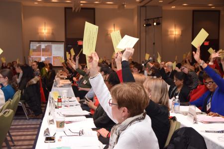 Consultative representatives voting on resolutions at 2019 AGM