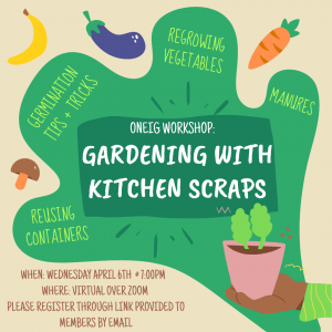 Gardening with kitchen scraps