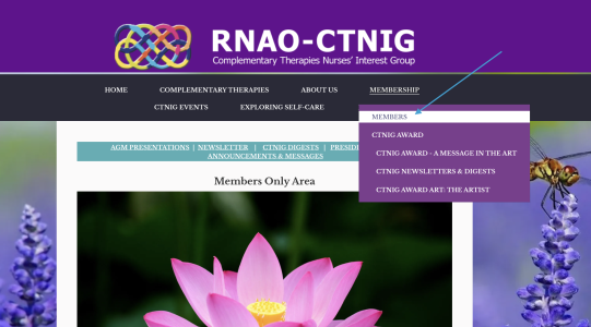 members only section of the CTNIG website